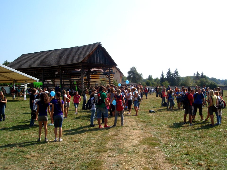 Stična mladih 2011, 6