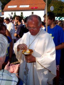 Stična mladih 2011, 9