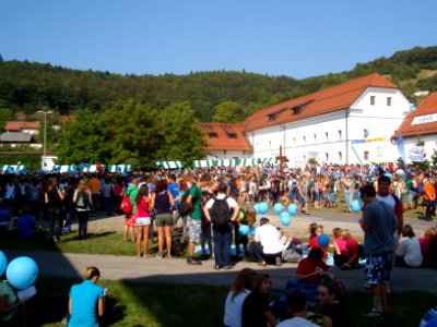 Stična mladih 2011, 4