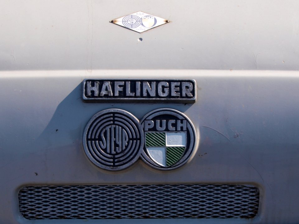 Steyer Puch Haflinger 78 trappes 4wheel drive pic1