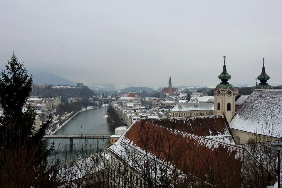 Steyr 001