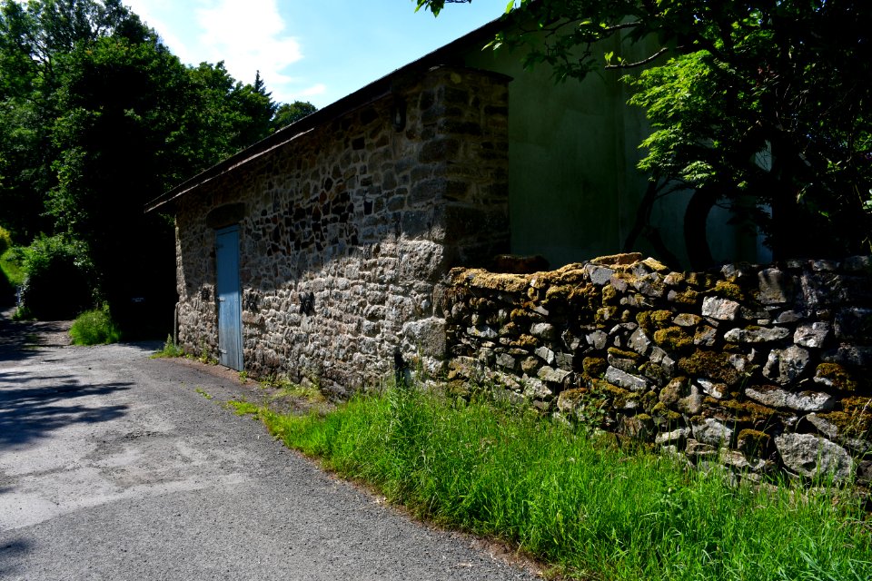 Sticklepath (2021-06-30) 59
