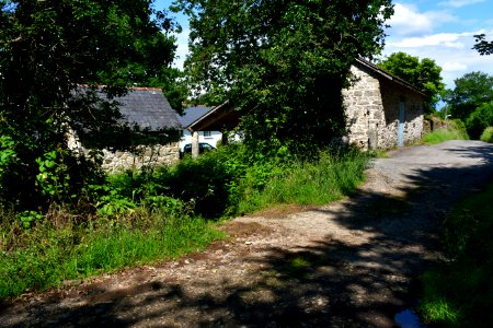 Sticklepath (2021-06-30) 58