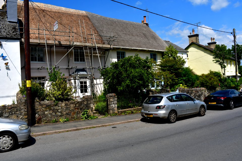 Sticklepath (2021-06-30) 31