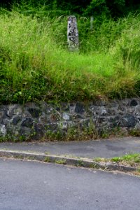 Sticklepath (2021-06-30) 27