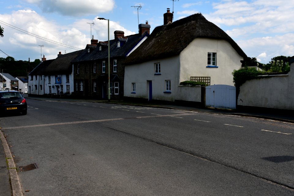 Sticklepath (2021-06-30) 17