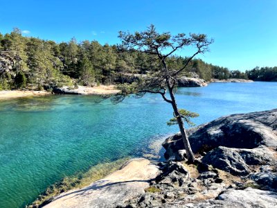 Stendörren Äspskär