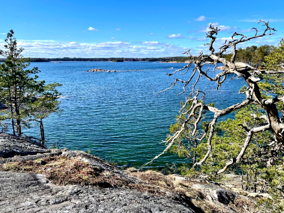 Stendörrens naturreservat Äspskär