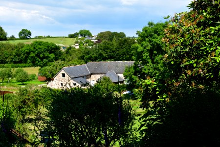 Sticklepath (2021-06-30) 56