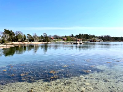 Stendörrens naturreservat vrak