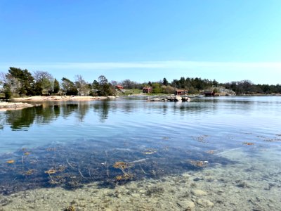 Stendörrens naturreservat vrak photo