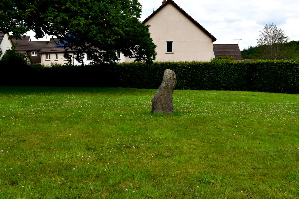 Sticklepath (2021-06-30) 08