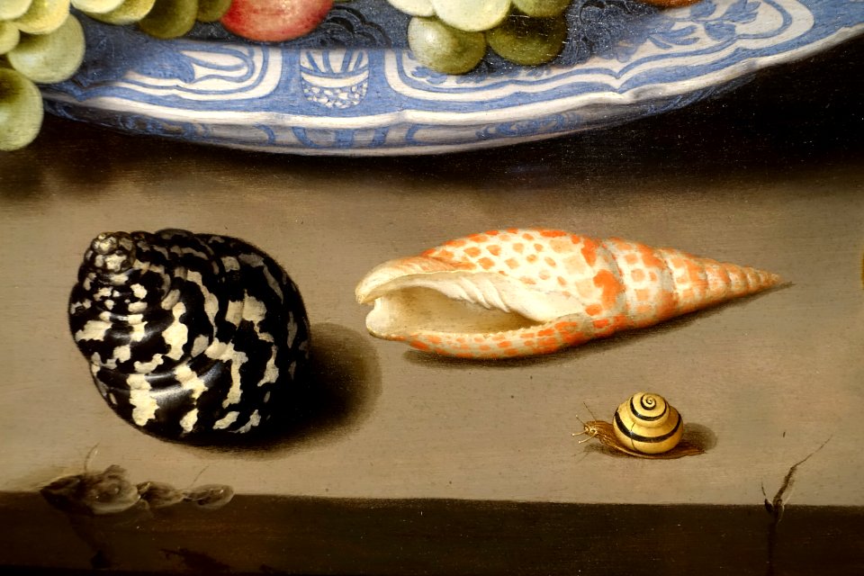 Still Life of Fuit on a Kraak Porcelain, detail, by Balthasar van der Ast, 1657, oil on panel - Currier Museum of Art - Manchester, NH - DSC07265