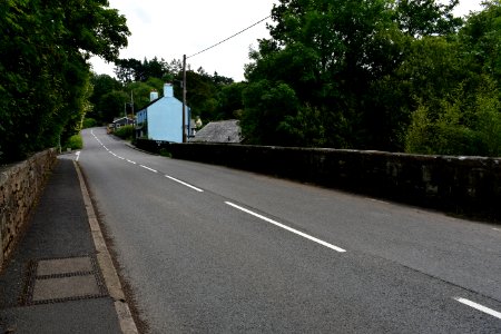 Sticklepath (2021-06-30) 04