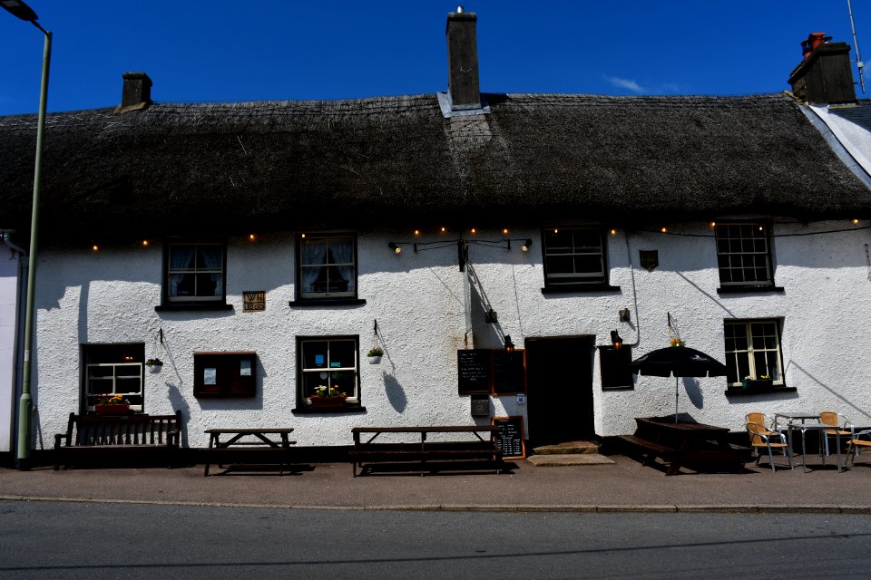 Sticklepath (2021-06-30) 46