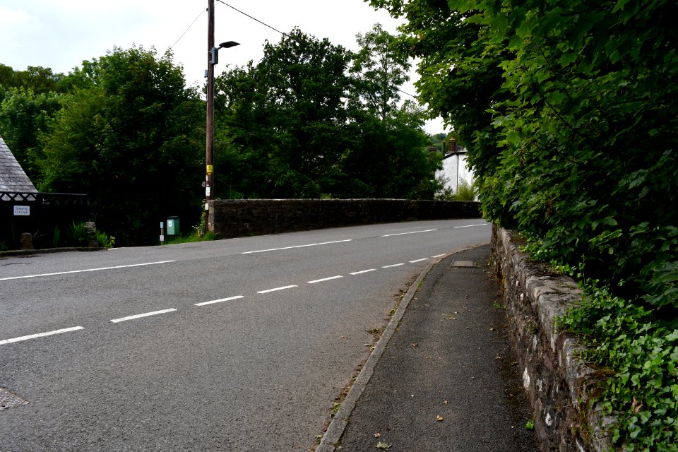 Sticklepath (2021-06-30) 03