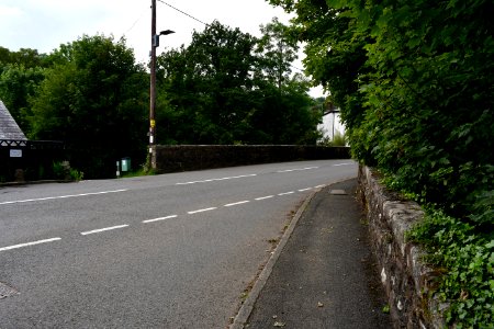 Sticklepath (2021-06-30) 03
