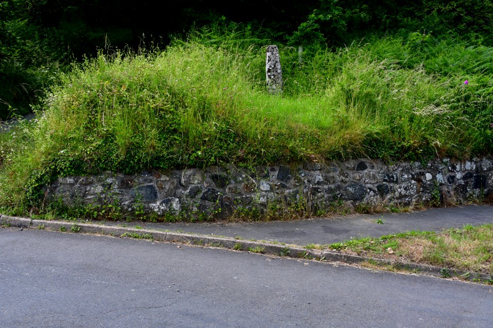 Sticklepath (2021-06-30) 26