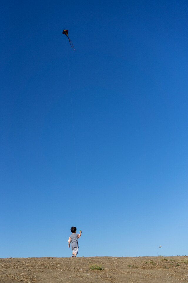 Wind play flying