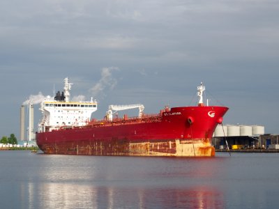STI Clapham (ship, 2014) IMO 9696577 Hornhaven Port of Amsterdam