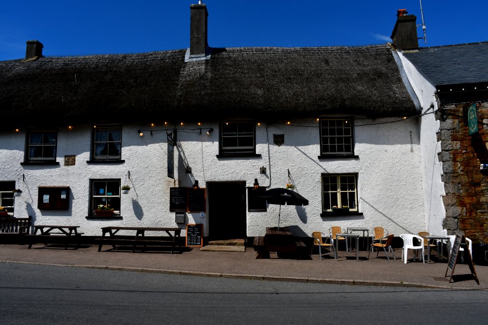 Sticklepath (2021-06-30) 47