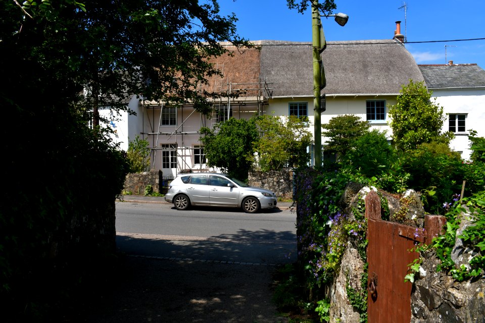 Sticklepath (2021-06-30) 33