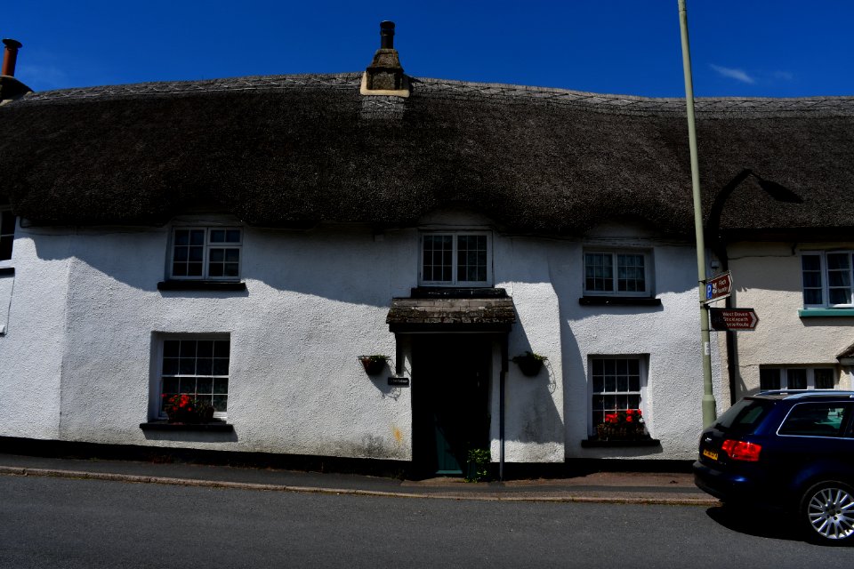 Sticklepath (2021-06-30) 42