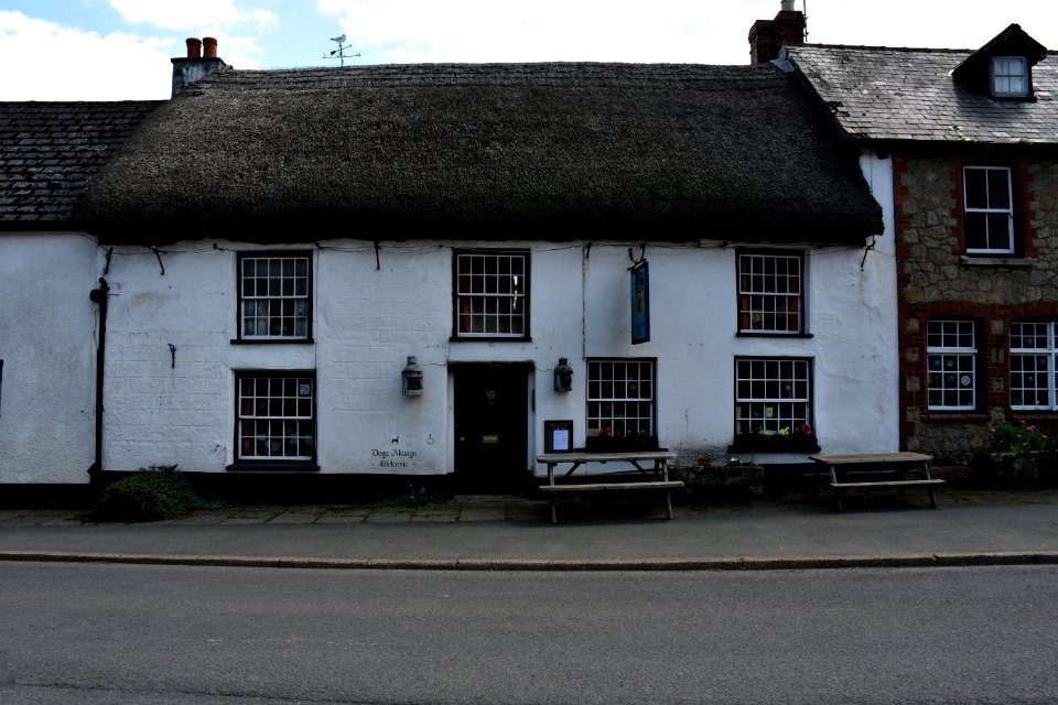 Sticklepath (2021-06-30) 15