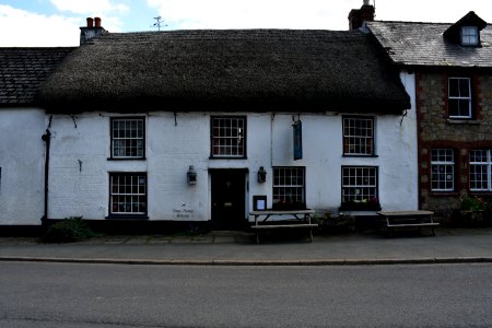Sticklepath (2021-06-30) 15
