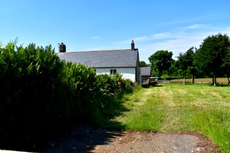 Sticklepath (2021-06-30) 60