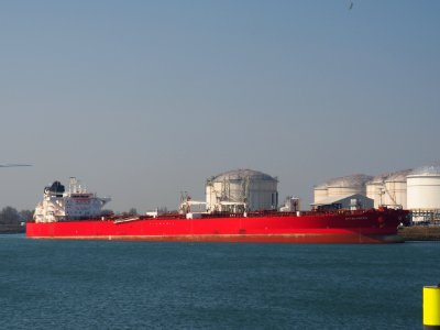 STI Elysees (ship, 2014) IMO 9688829, Port of Rotterdam pic2