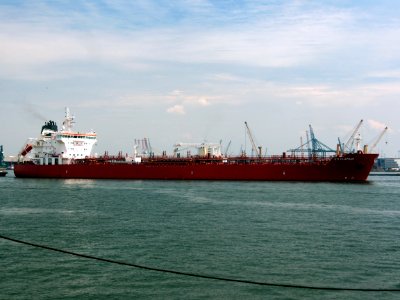 STI Clapham - IMO 9696577, Port of Antwerp