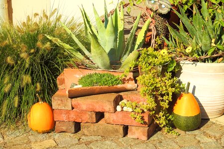 Autumn decoration autumn decorative