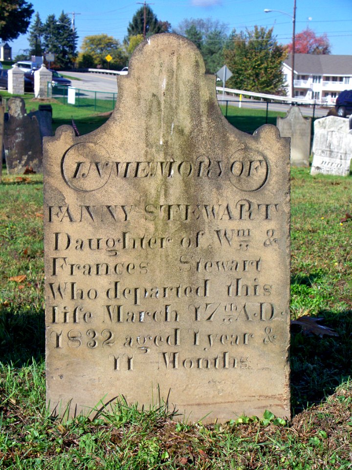 Stewart (Fanny), Bethel Cemetery, 2015-10-15, 01