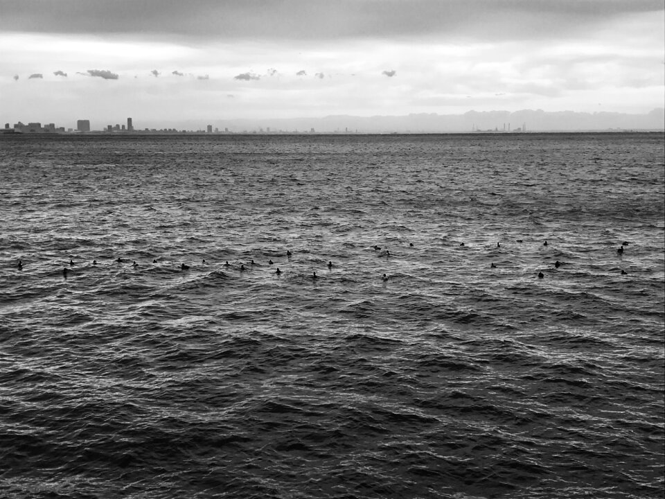 Black and white black sea