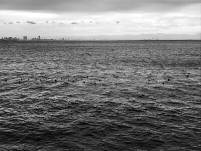 Black and white black sea