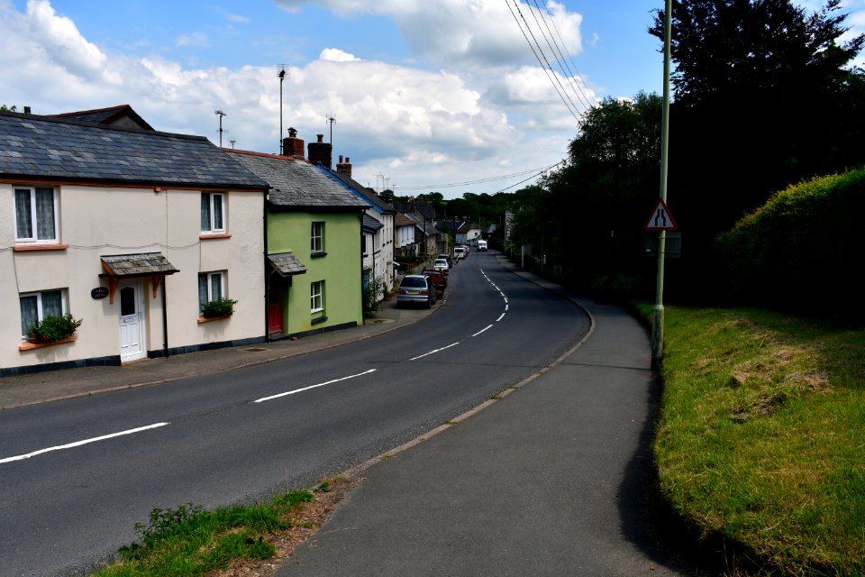 Sticklepath (2021-06-30) 28