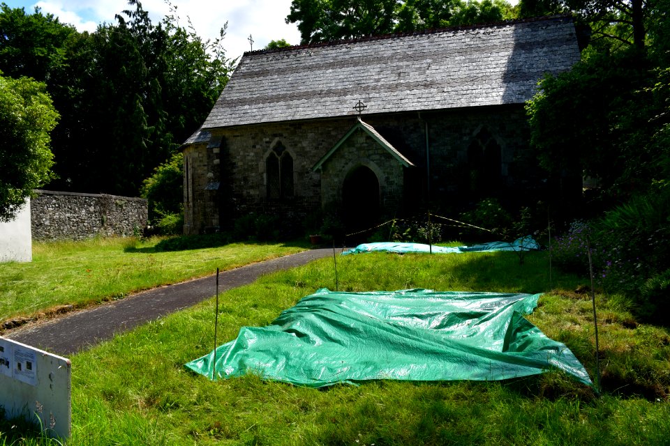 Sticklepath (2021-06-30) 23