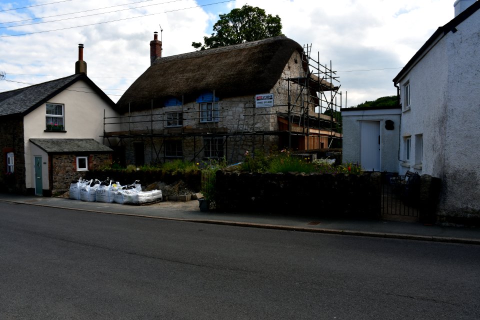 Sticklepath (2021-06-30) 10