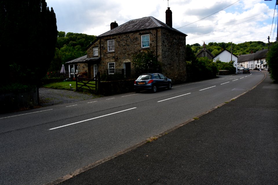 Sticklepath (2021-06-30) 07