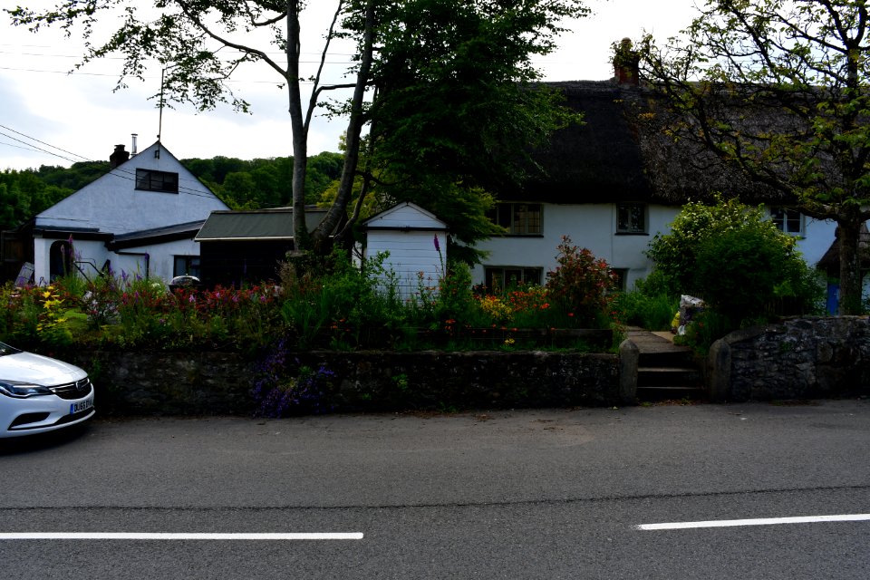 Sticklepath (2021-06-30) 05