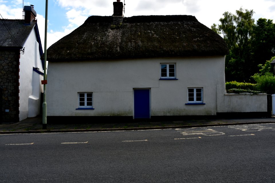 Sticklepath (2021-06-30) 16