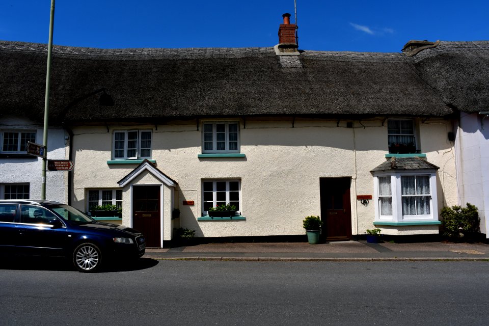 Sticklepath (2021-06-30) 43