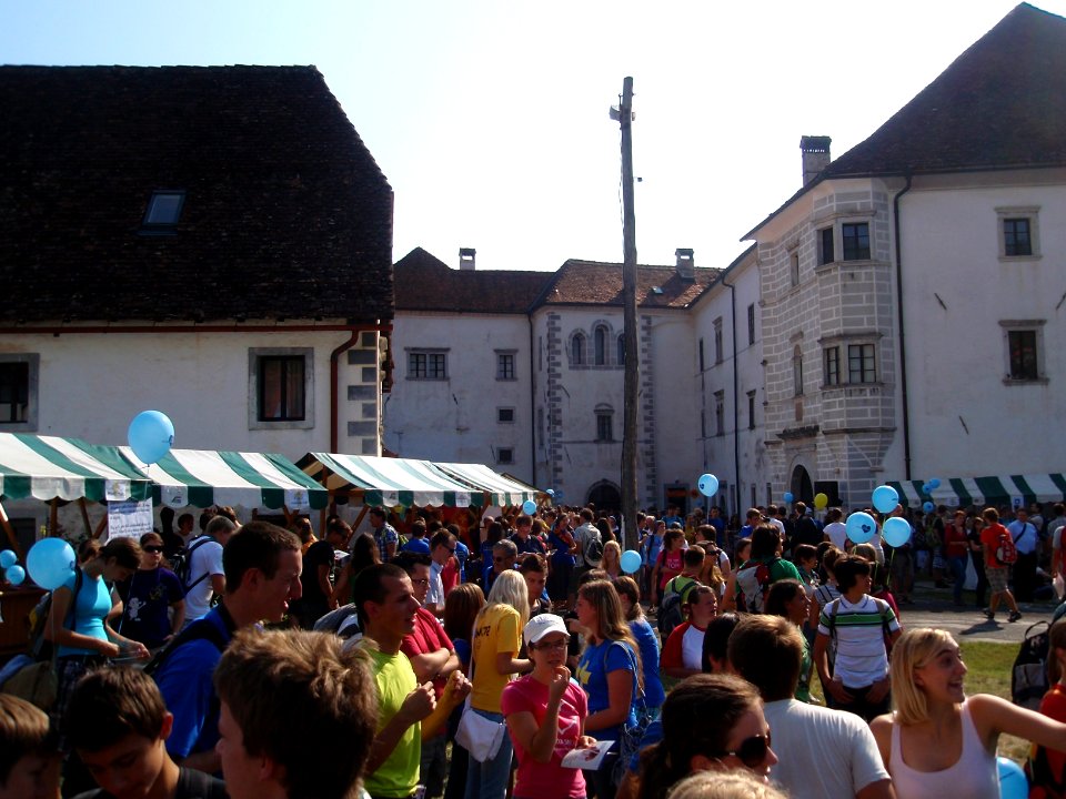 Stična mladih 2011, 2