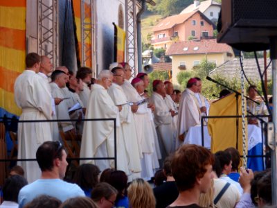 Stična mladih 2011, 8