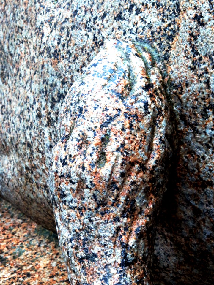 Stgt. Löwe an Denkmal für Wilhelm I