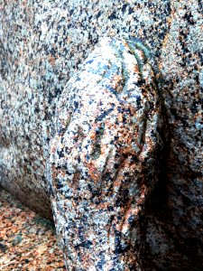 Stgt. Löwe an Denkmal für Wilhelm I