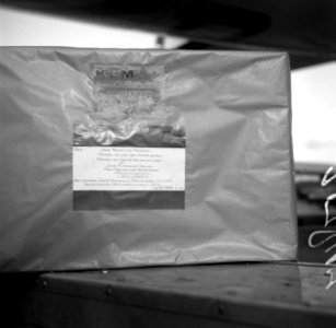 Stewardess met pakket voor Prinses Marijke, Bestanddeelnr 902-5847