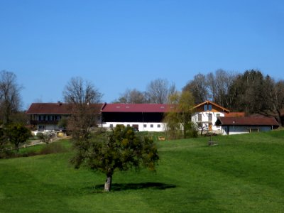 Sterneck 1