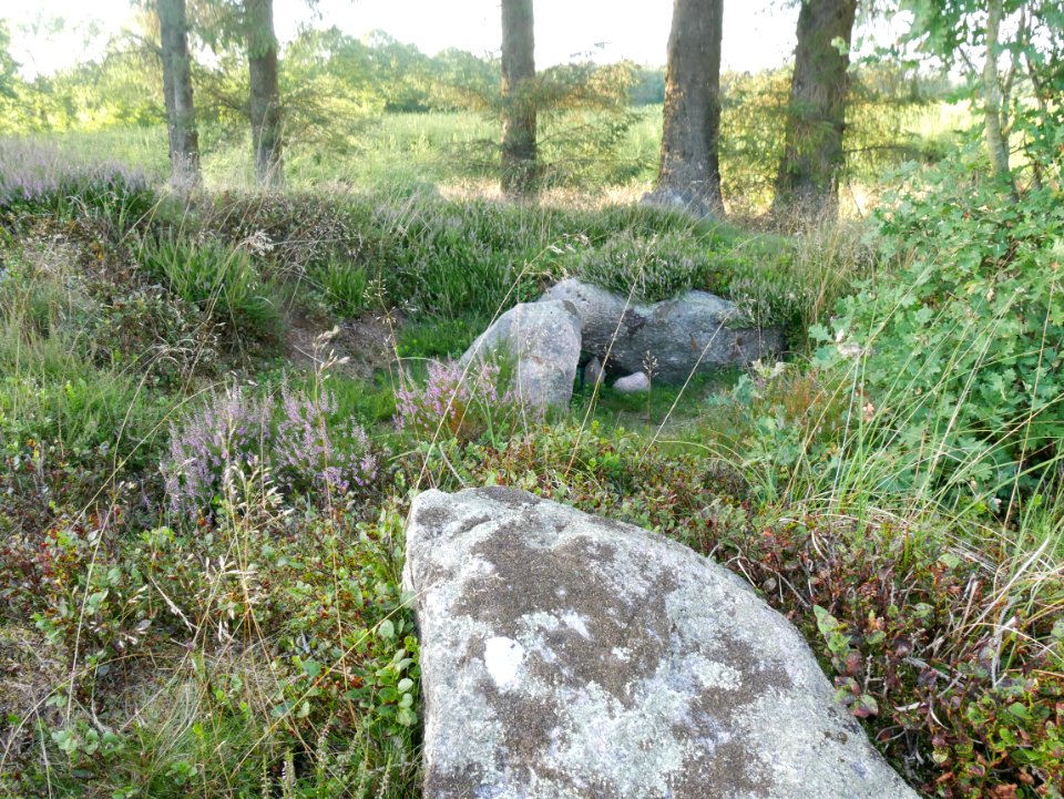 Stensbjerggård Langdysse ÖstlicheGrabkammer H5